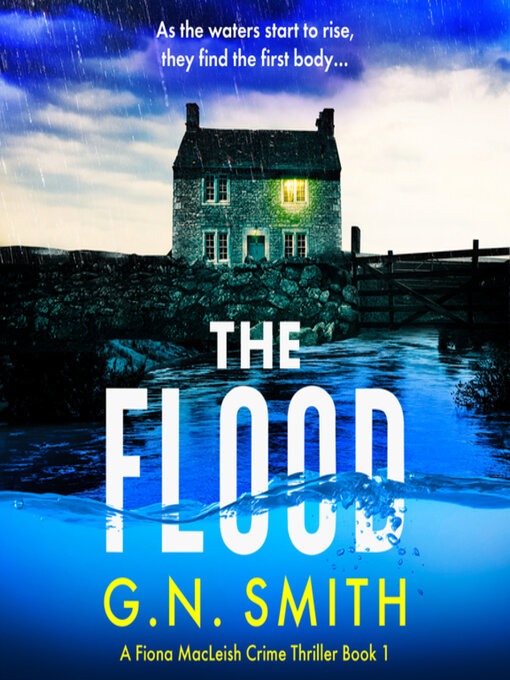 Cover image for The Flood
